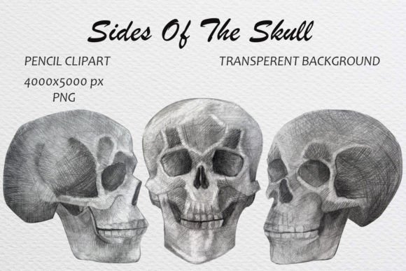 Download Skull Hand Drawn Pencil Drawing Clip Art - Pen Collection