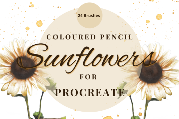Download Procreate Coloured Pencil Sunflowers - Pen Collection